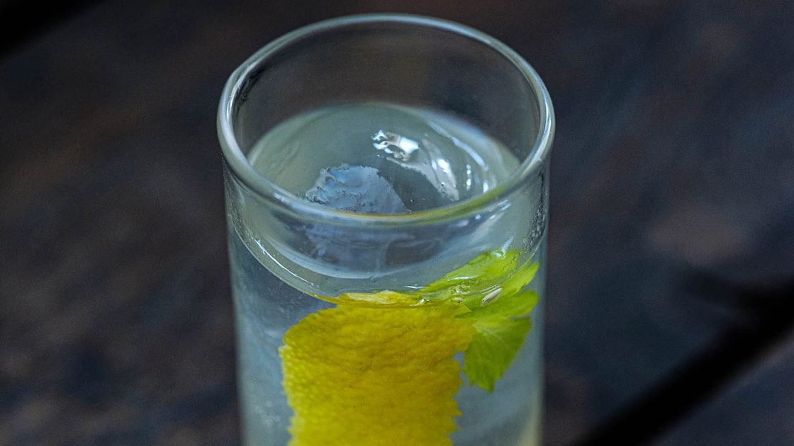 Gin, Apples and Tonic