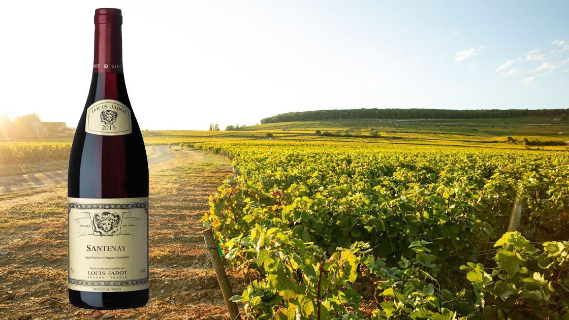 Röd Bourgogne från toppår i fasta sortimentet