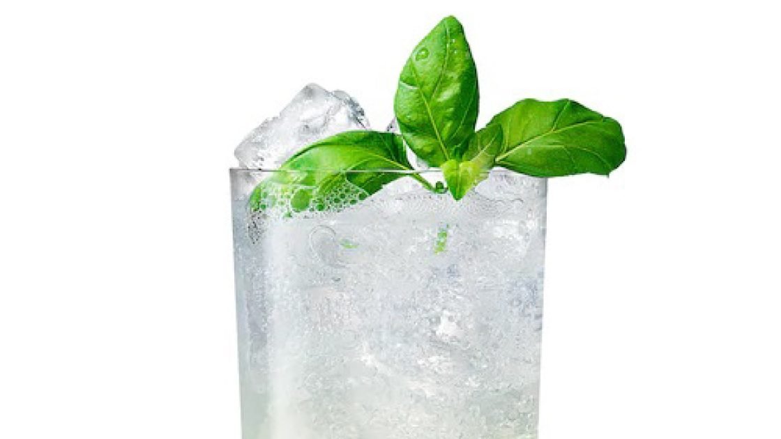 Watermelon Collins Watermelon Collins